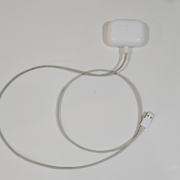 Apple Other - Apple Airpod Charging Case!